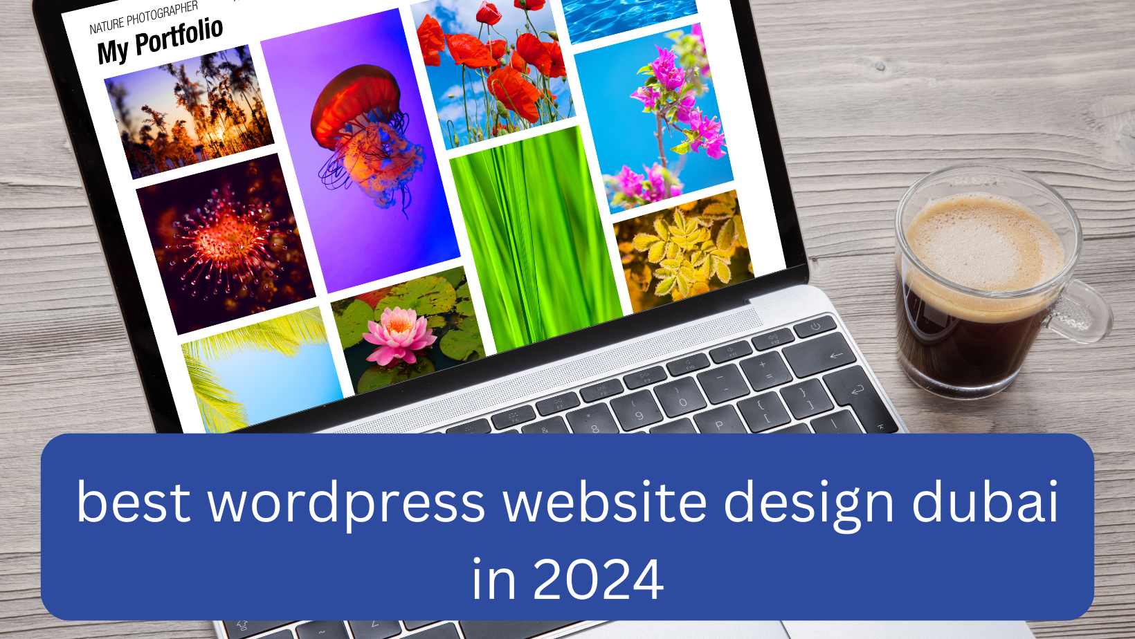 The best wordpress website design dubai in 2024 Revolutionizing