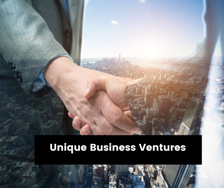 Unleashing Potential: Exploring Unique Business Ventures in 2024