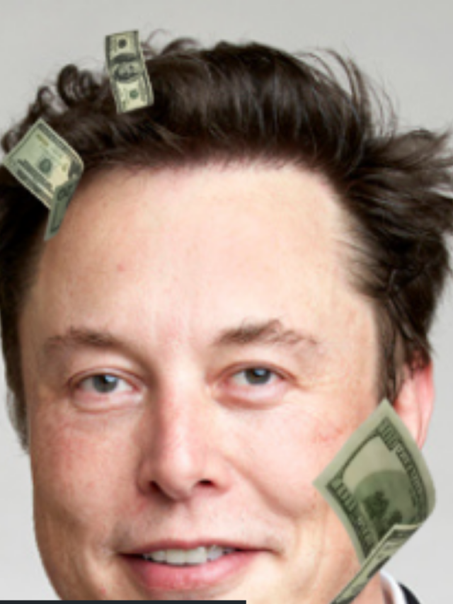 Spend Elon Musk Money