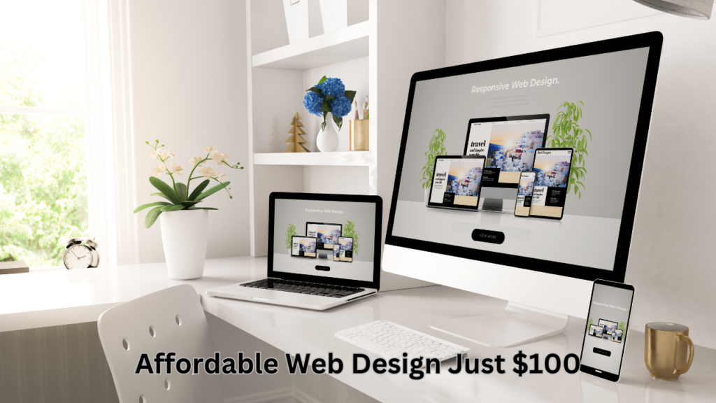 Affordable Web Design Just $100