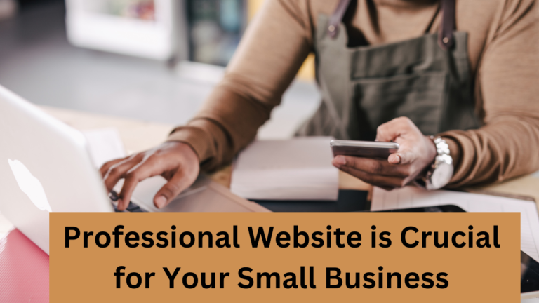 Why a Professional Website is Crucial for Your Small Business (And How You Can Get It For Just $100)