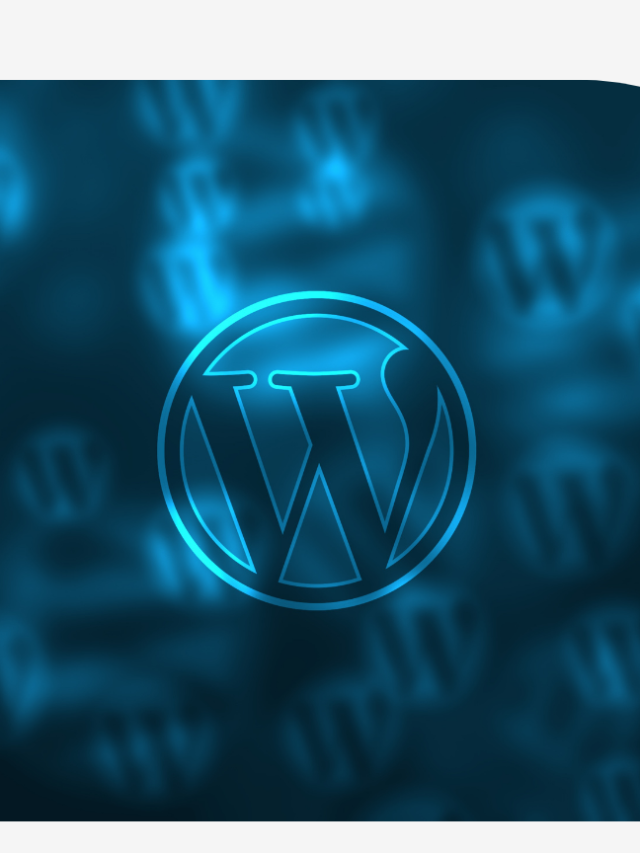 wordpress timber twig get file src